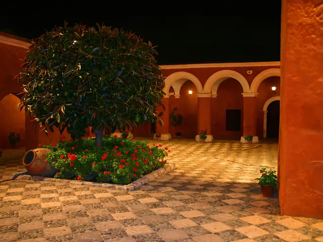 Patio silencio 2